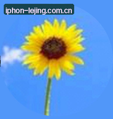 王凯